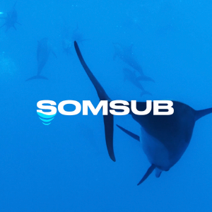 somsub-300x300